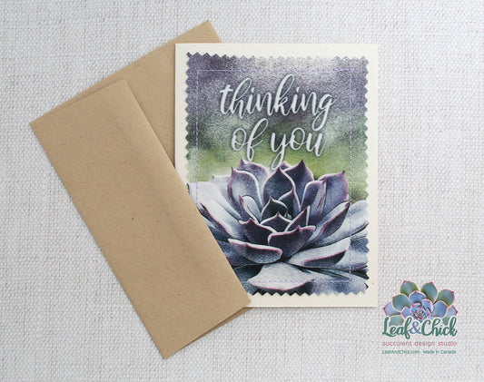 Thinking of You or Haworthia Greeting