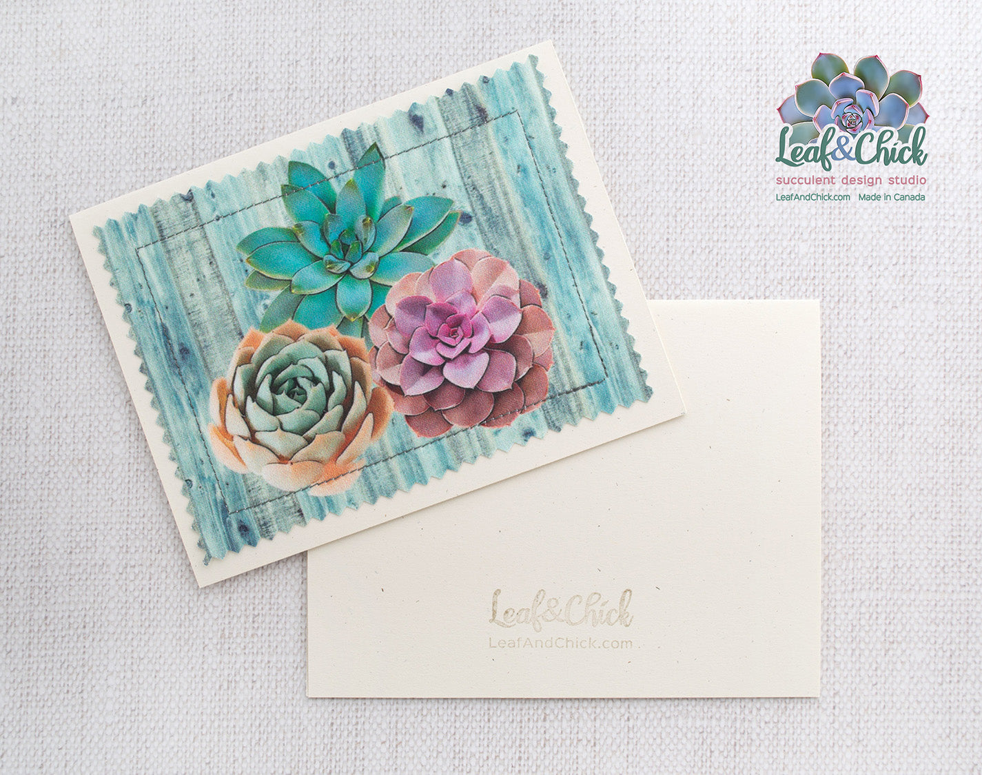 Succulent Art Greeting Cards