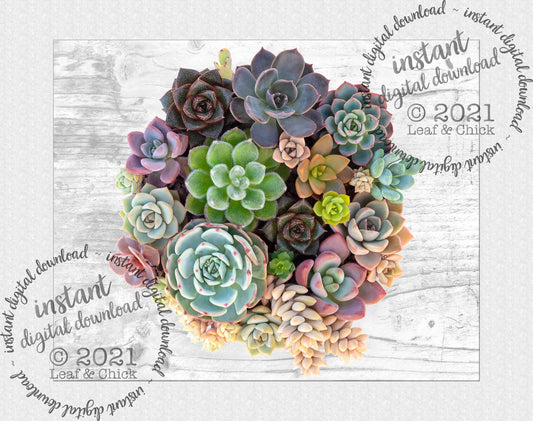 instant download wall art