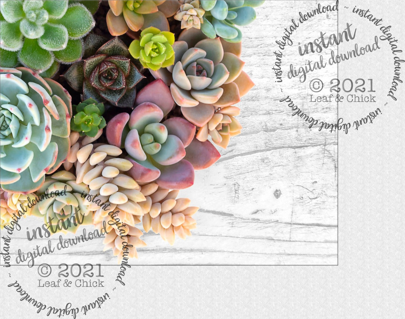 close up of digital download art