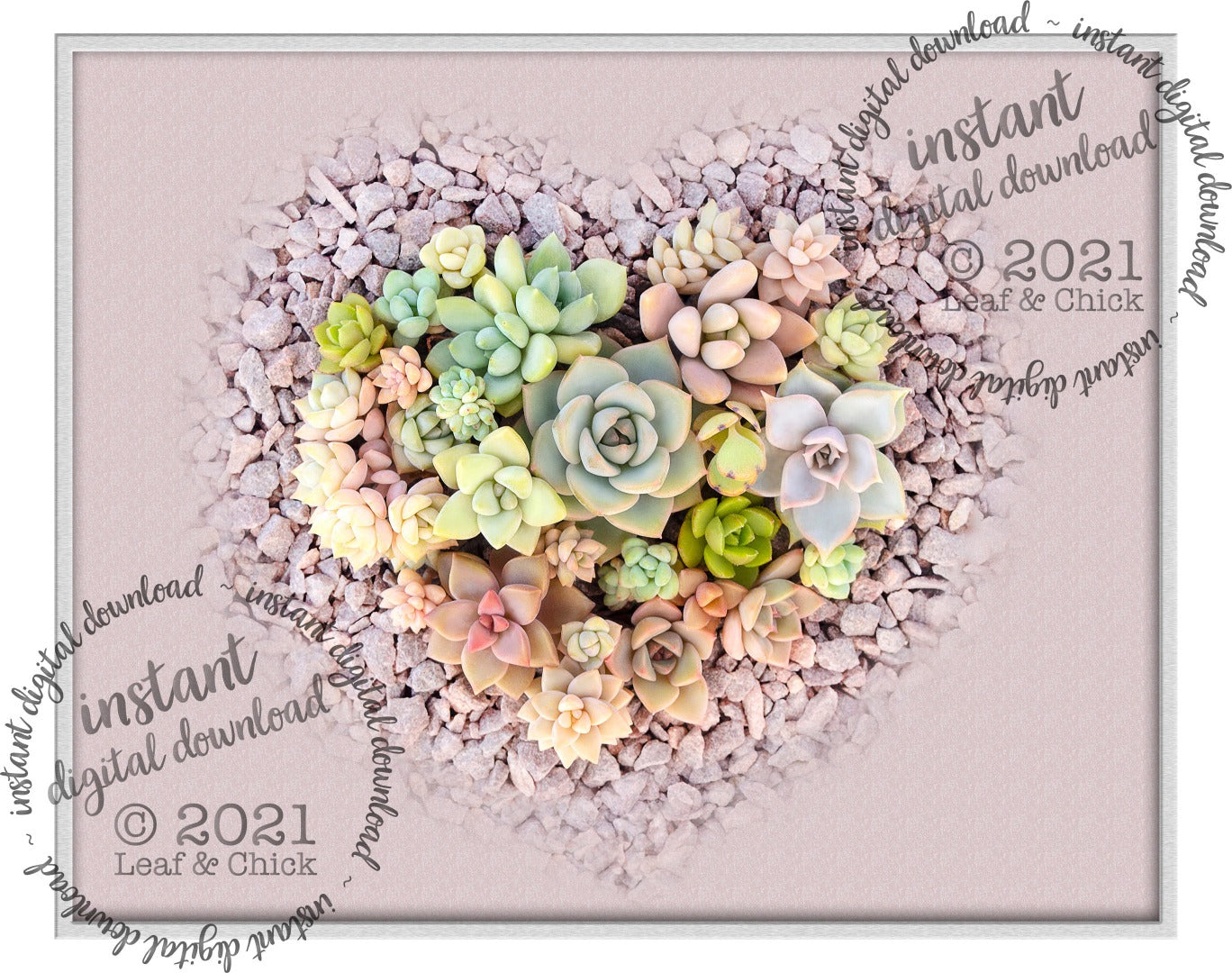 pink heart succulent art