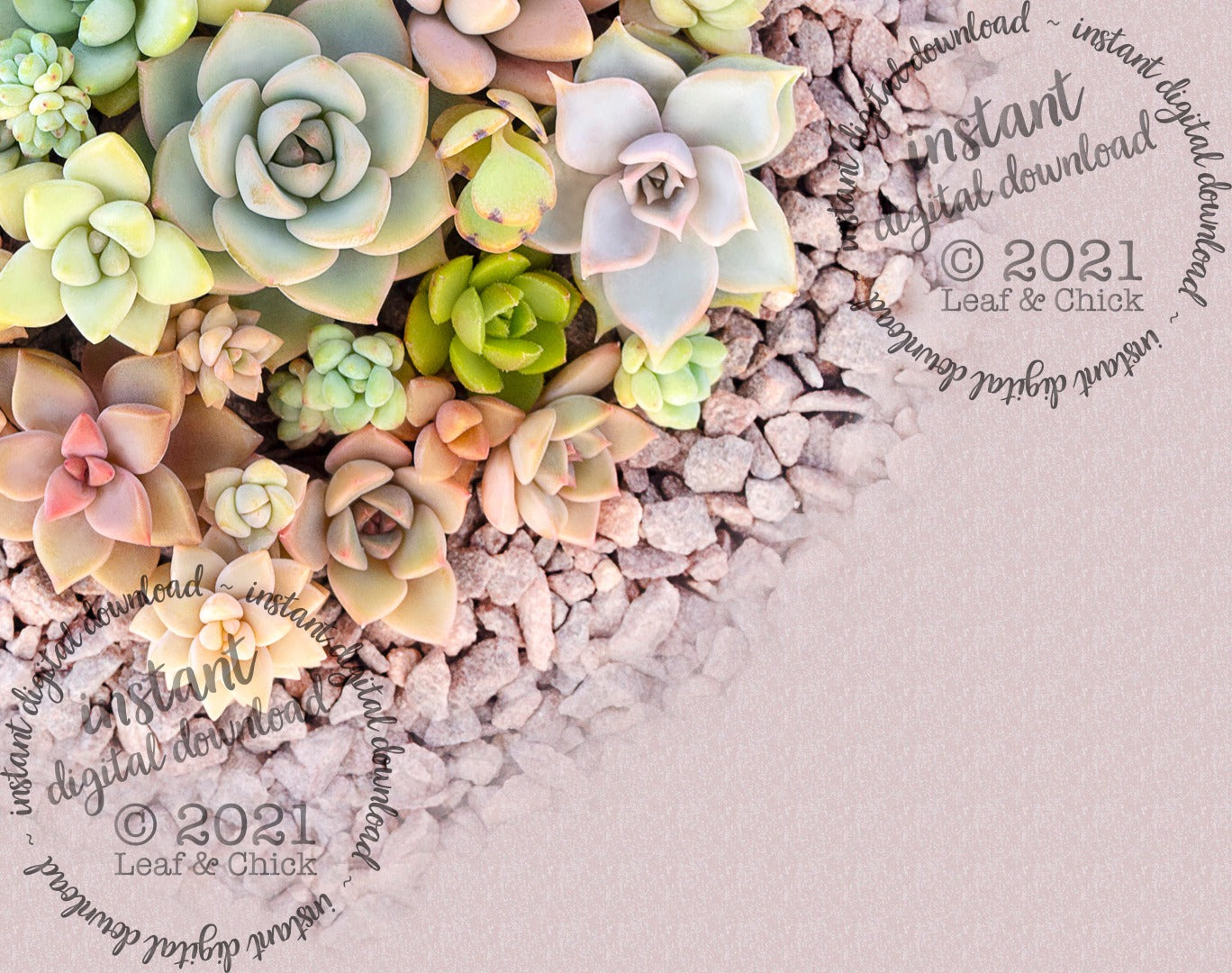 close up of nursery wall art