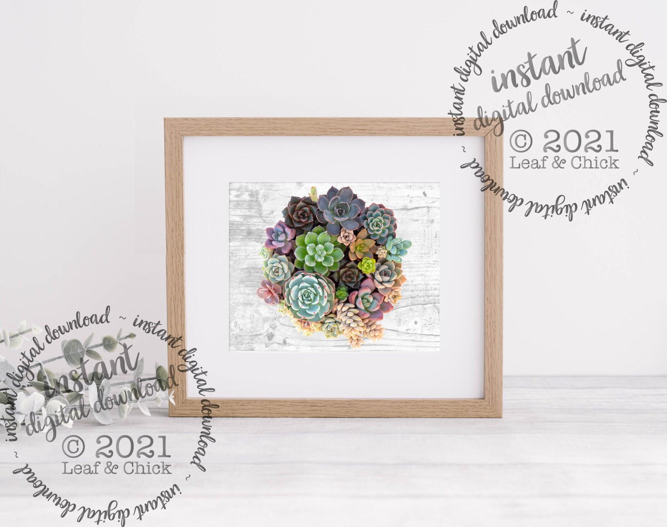 succulent digital art download