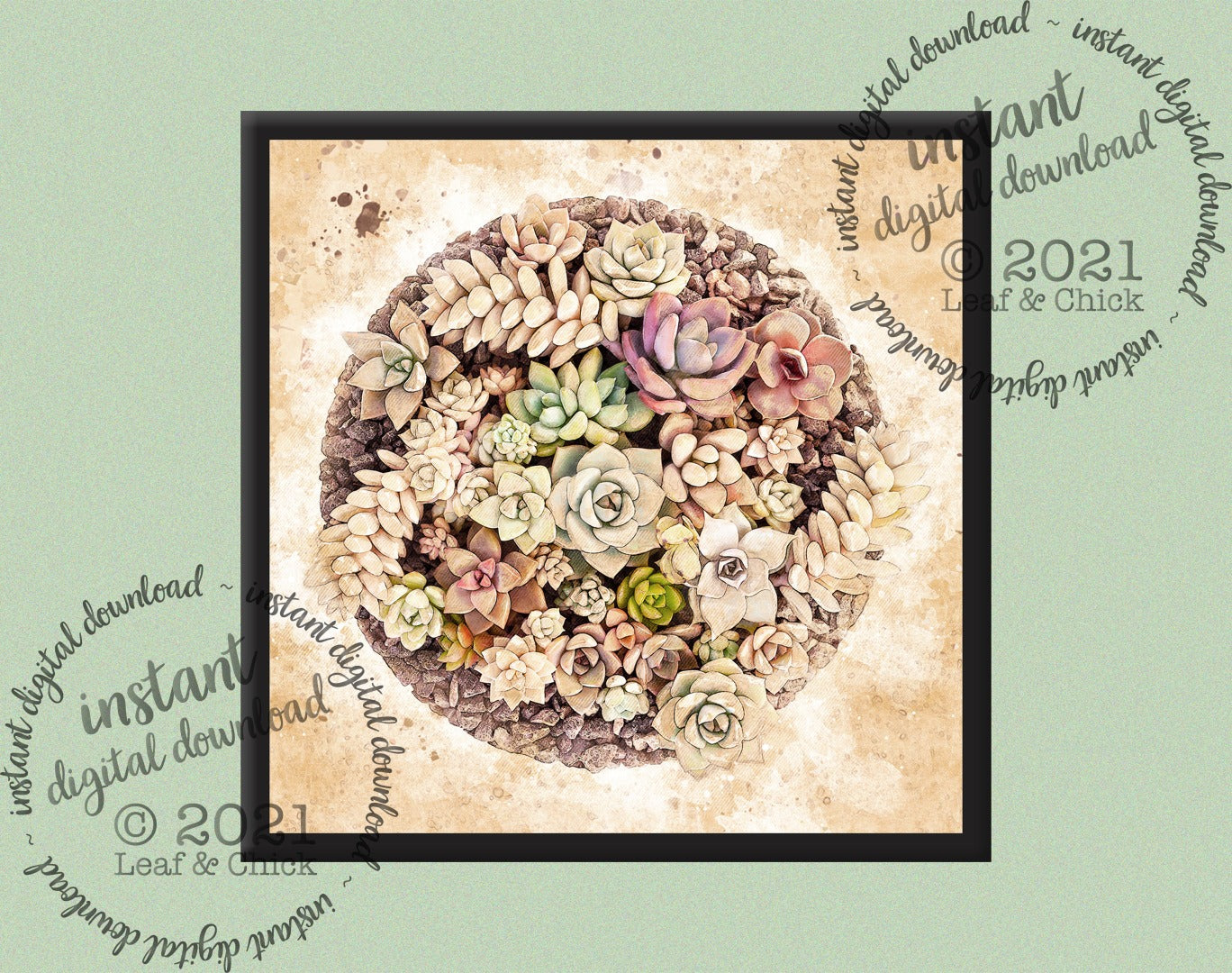 Vintage Style Succulents | INSTANT DOWNLOAD | 1002