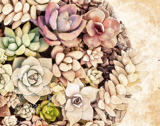 Vintage Style Succulents | INSTANT DOWNLOAD | 1002