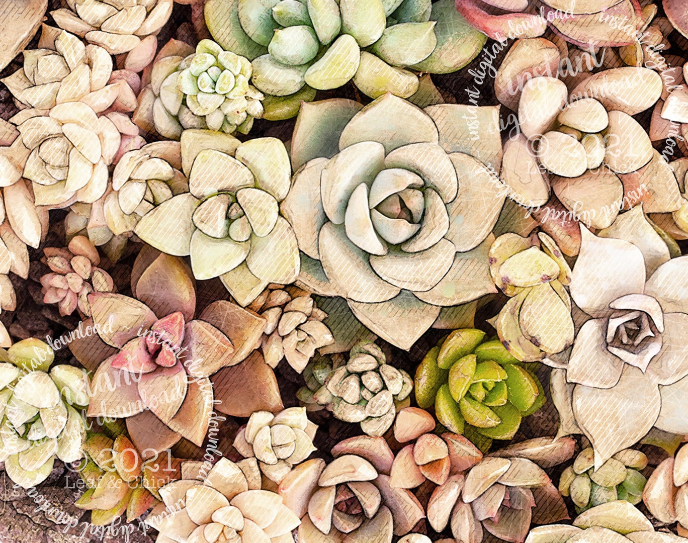 Vintage Style Succulents | INSTANT DOWNLOAD | 1002
