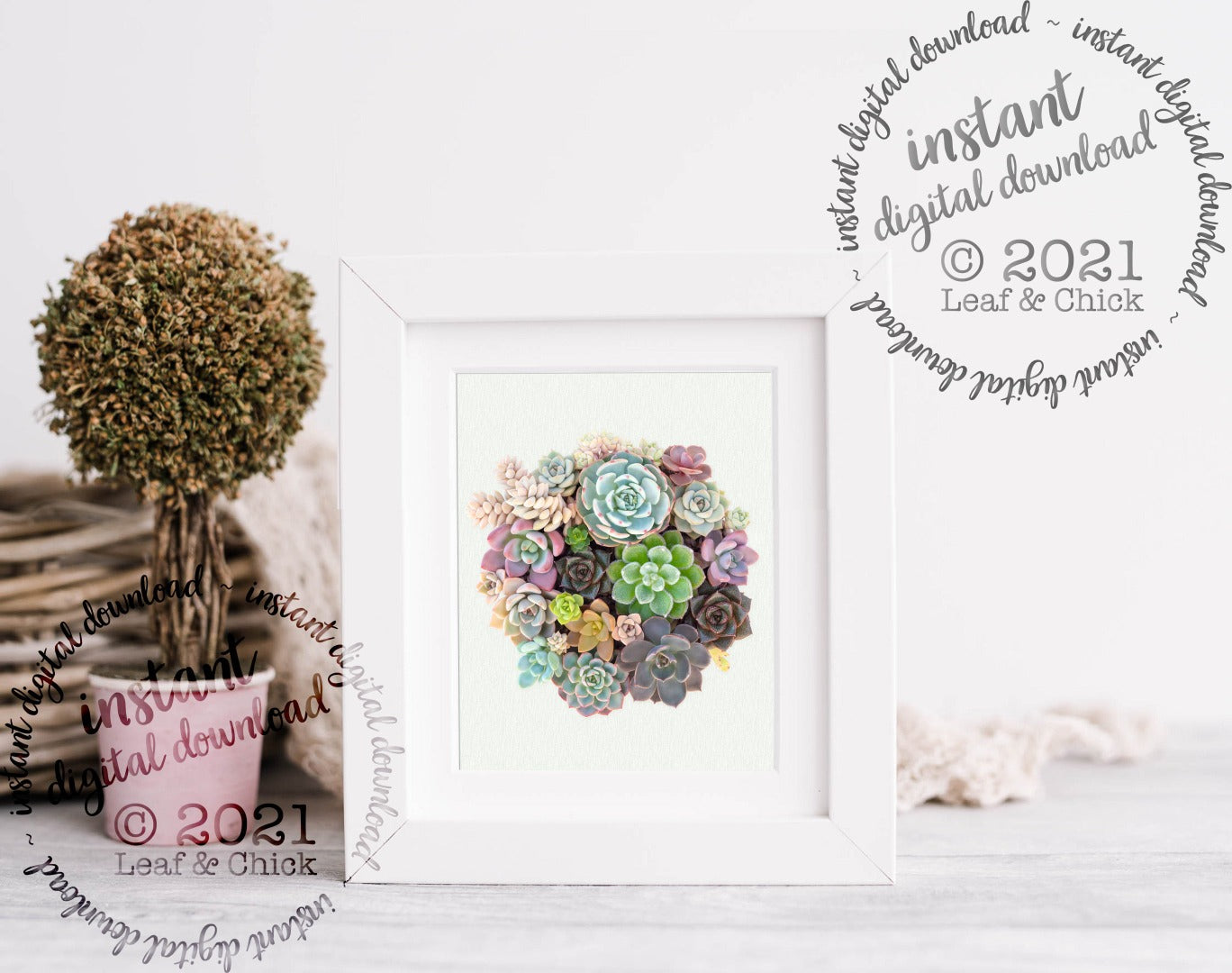 Vertical Succulent Bowl | INSTANT DOWNLOAD | 1004