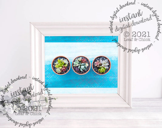 Blue Succulent Trio | INSTANT DOWNLOAD | 1006