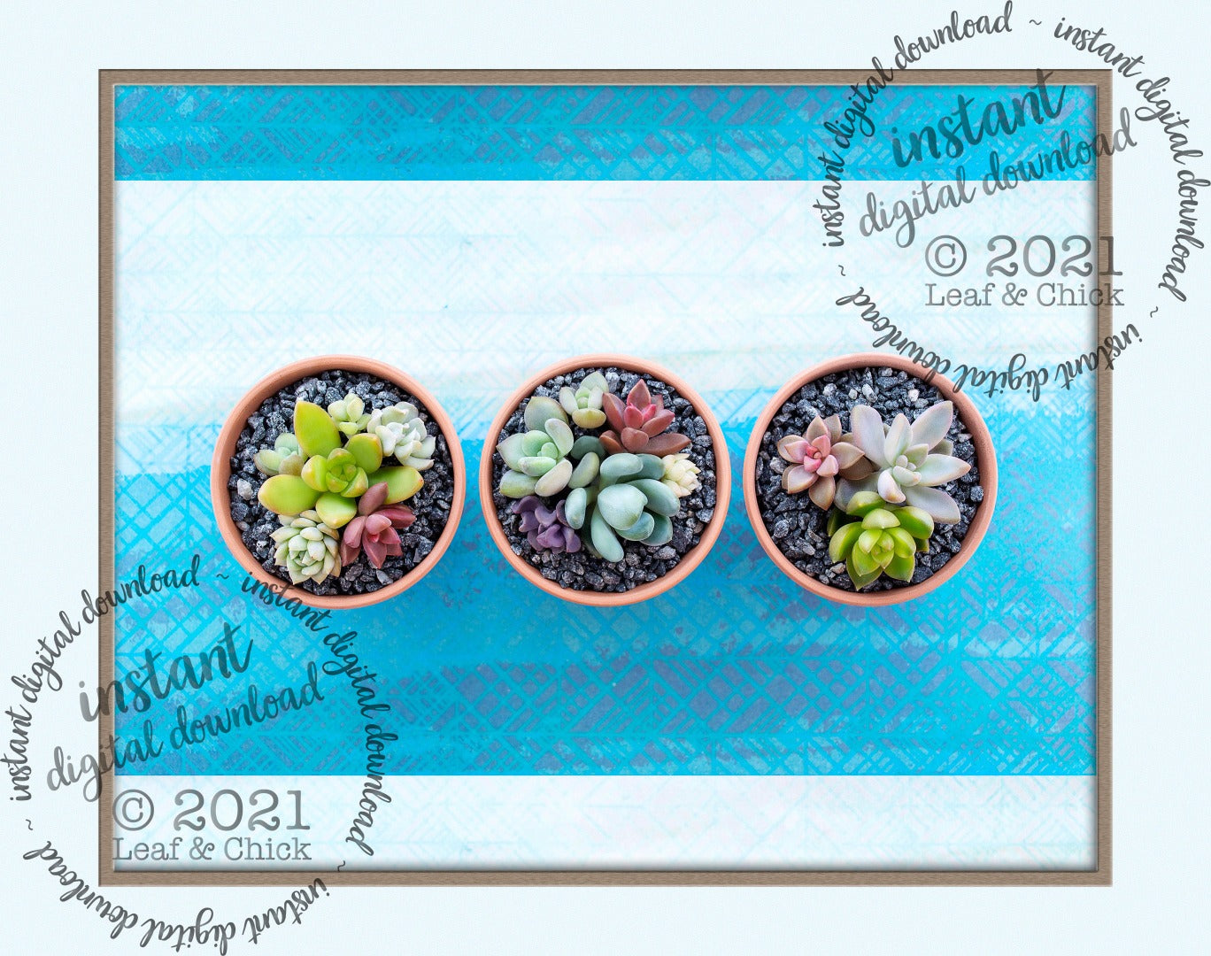 Blue Succulent Trio | INSTANT DOWNLOAD | 1006