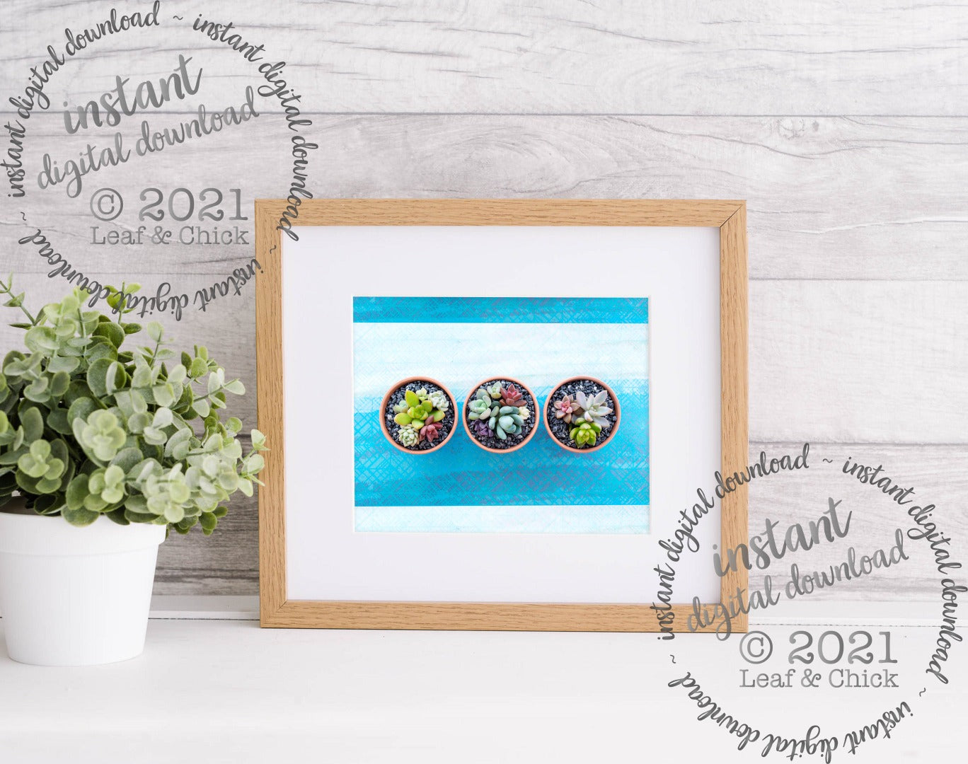 Blue Succulent Trio | INSTANT DOWNLOAD | 1006