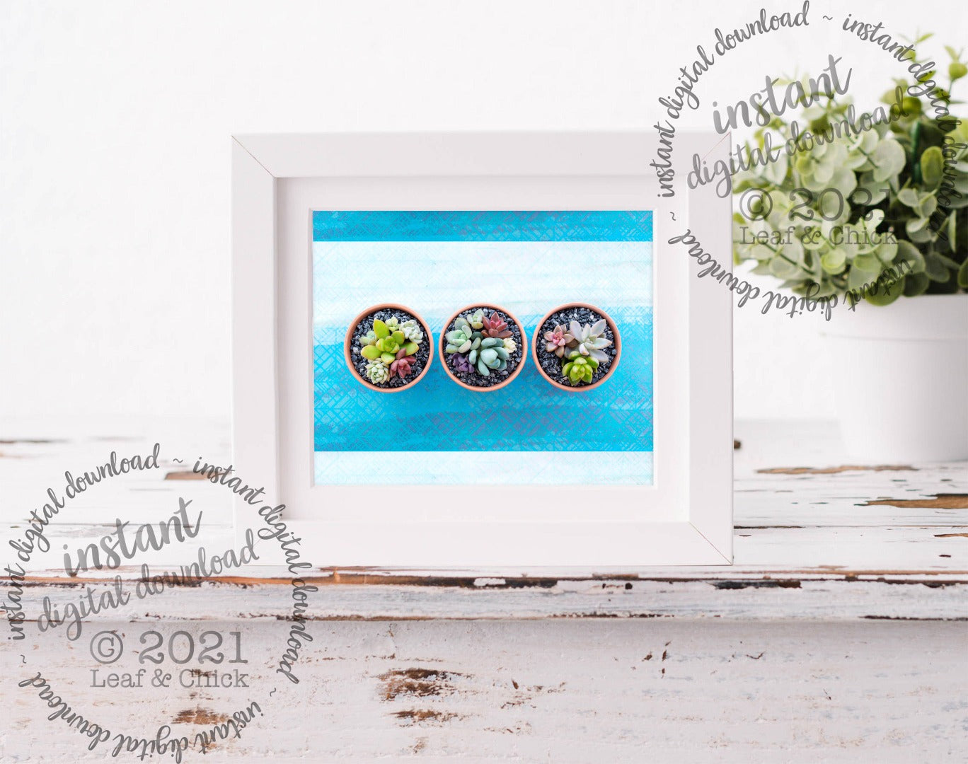 Blue Succulent Trio | INSTANT DOWNLOAD | 1006