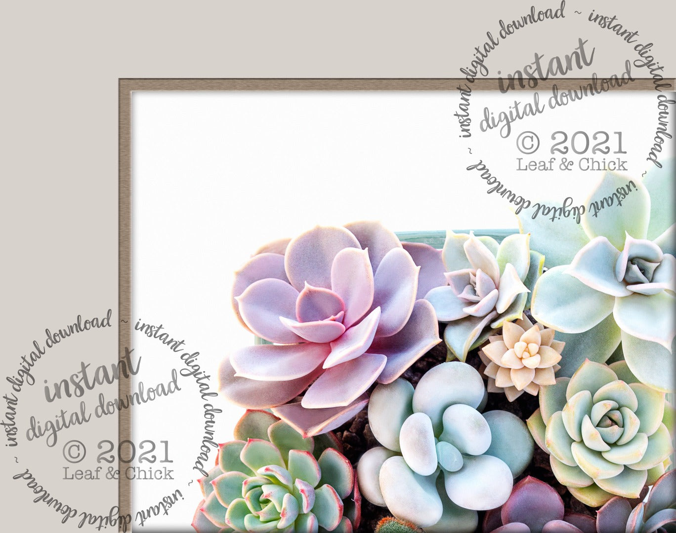 close up of top left succulent art to show detail