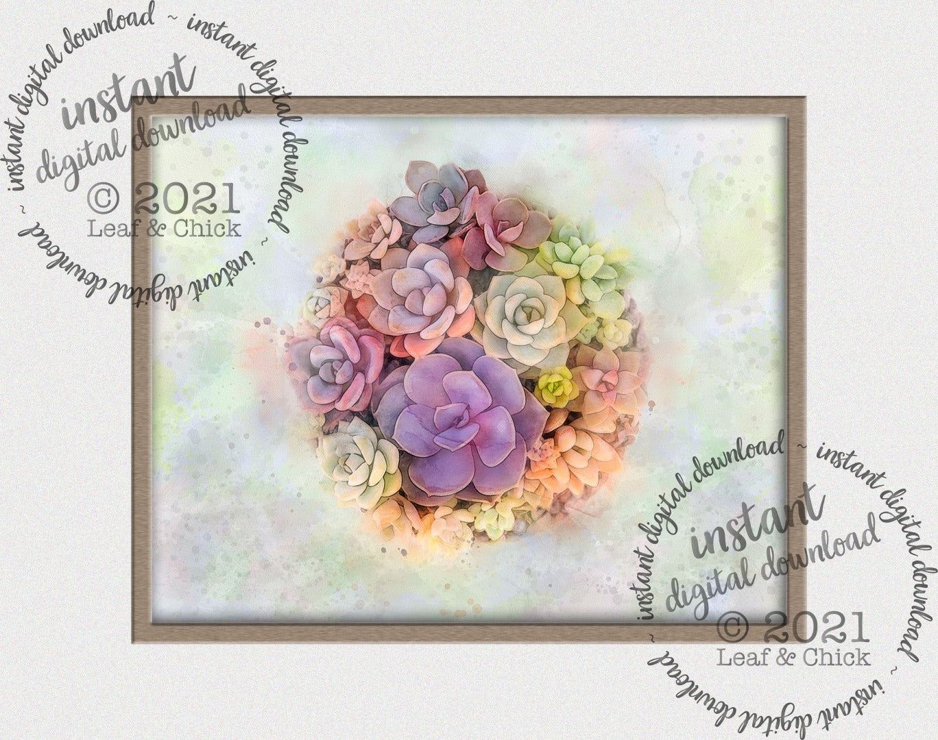 bright and dreamy succulent art