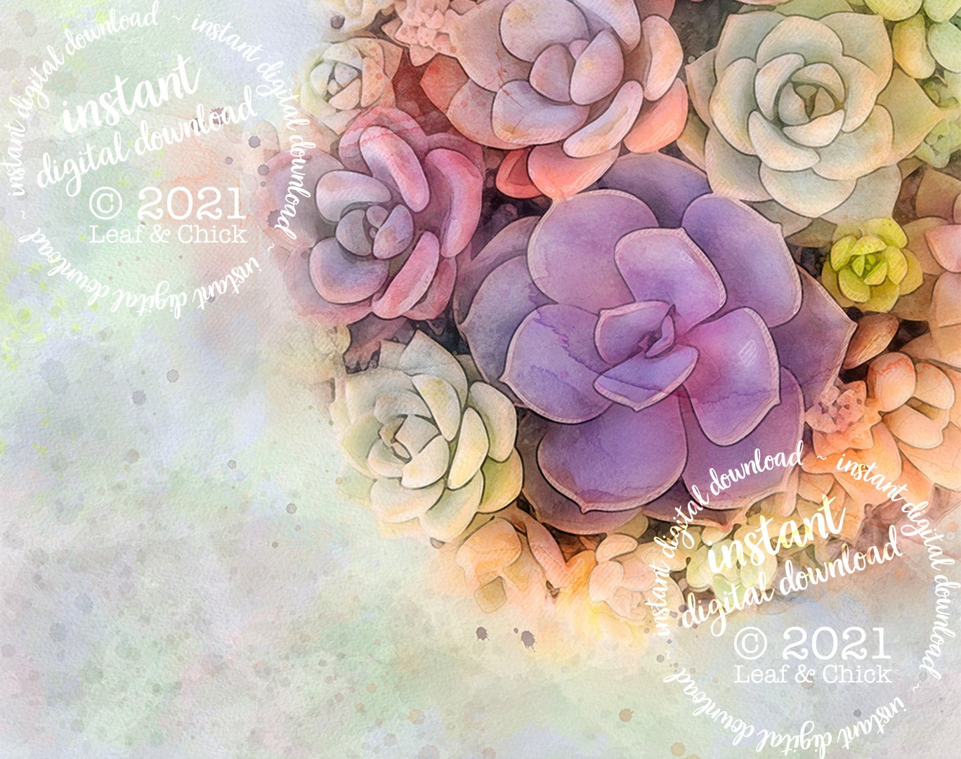 close up of watercolour succulent art