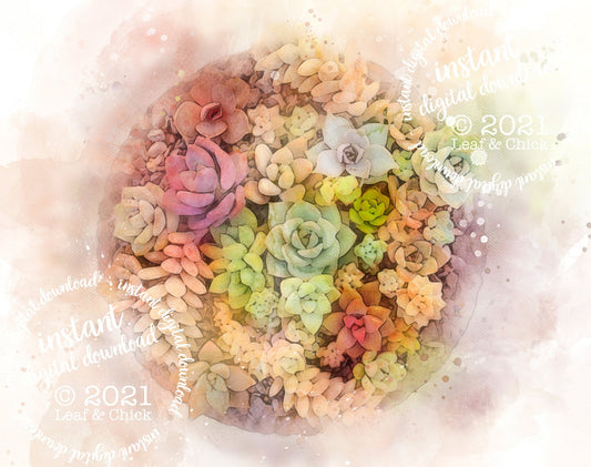 instant digital download succulent art