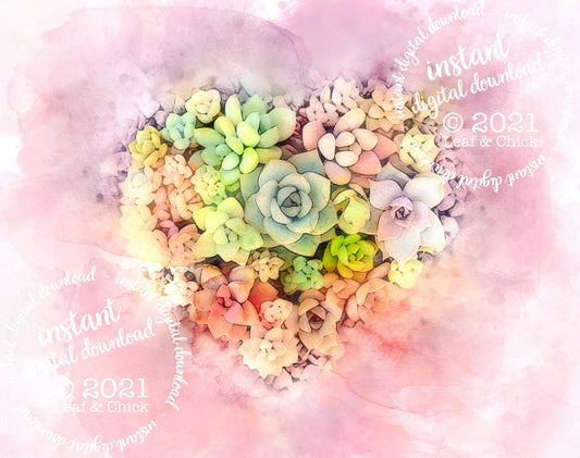 watercolour succulent art