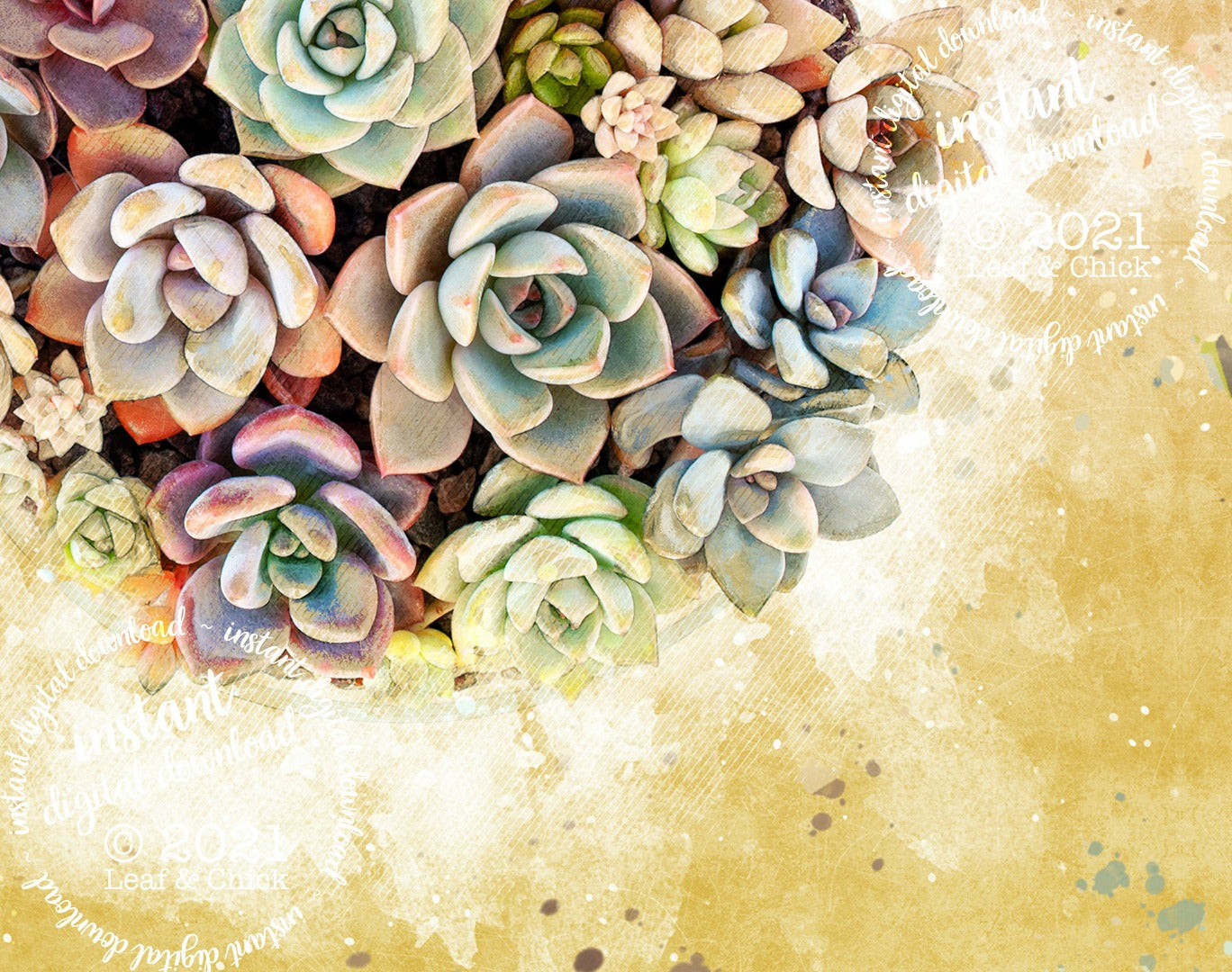 Vintage Style Succulents | INSTANT DOWNLOAD | 1012
