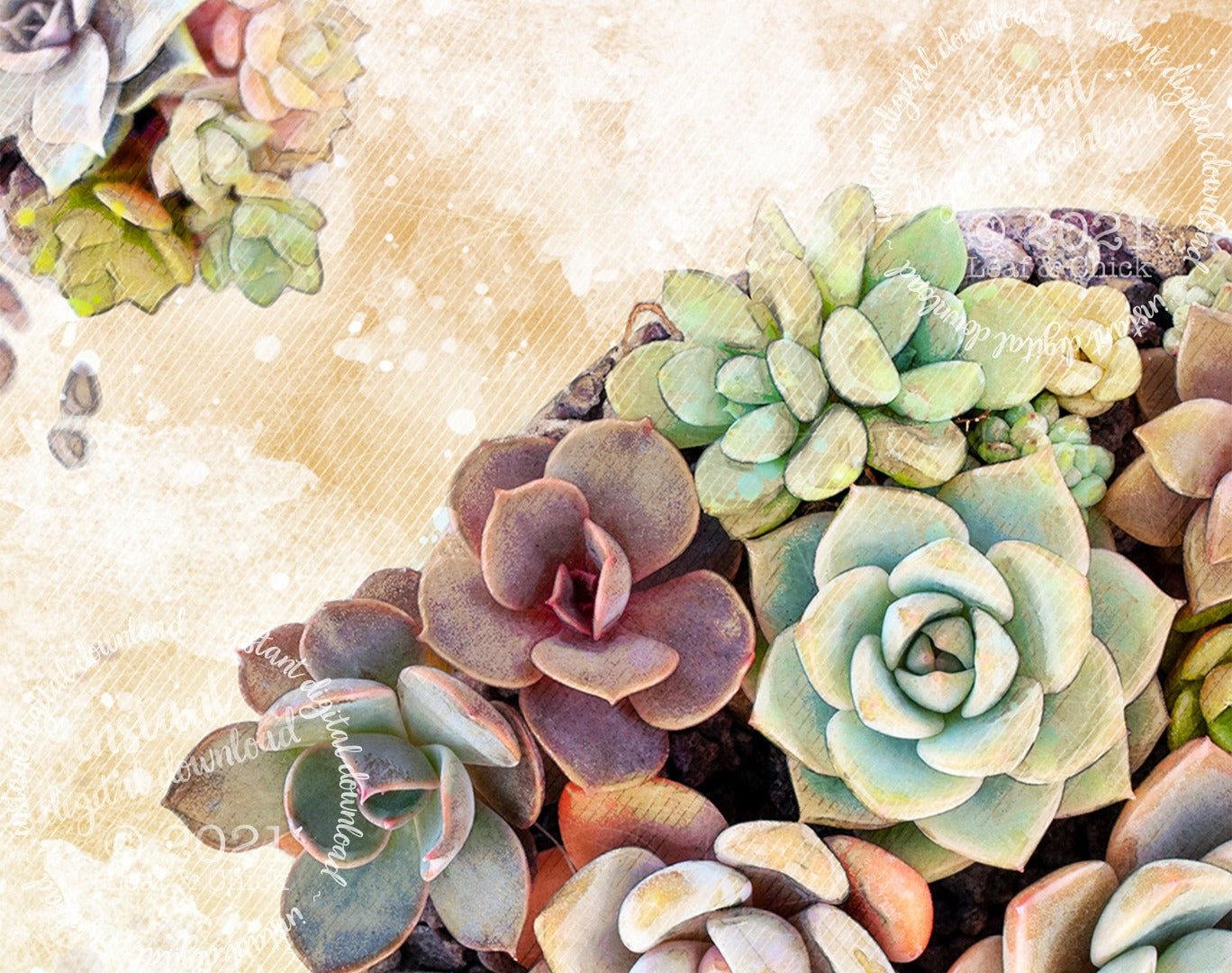 Vintage Style Succulents | INSTANT DOWNLOAD | 1012