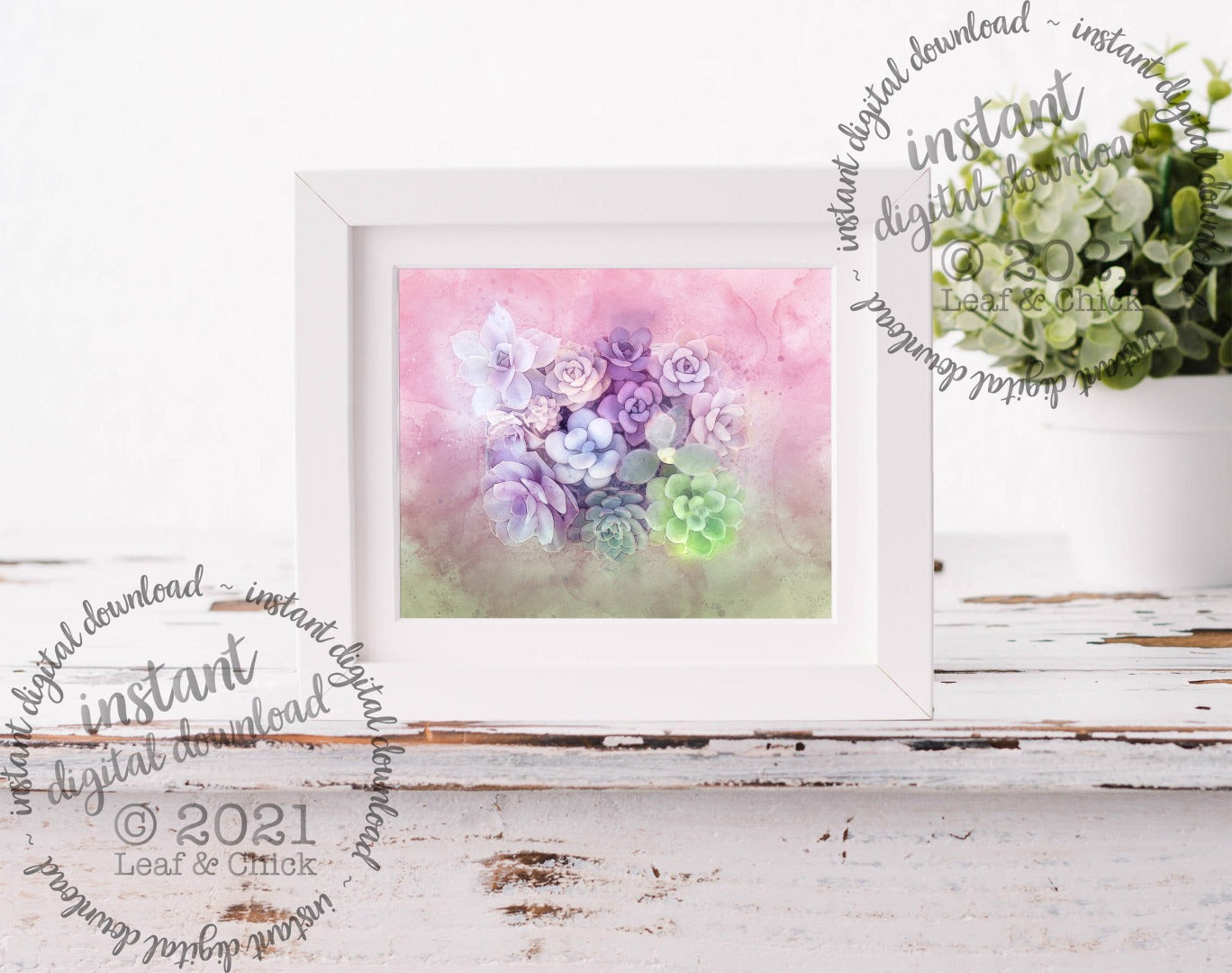 subtle light dreamy colours make up this original succulent art