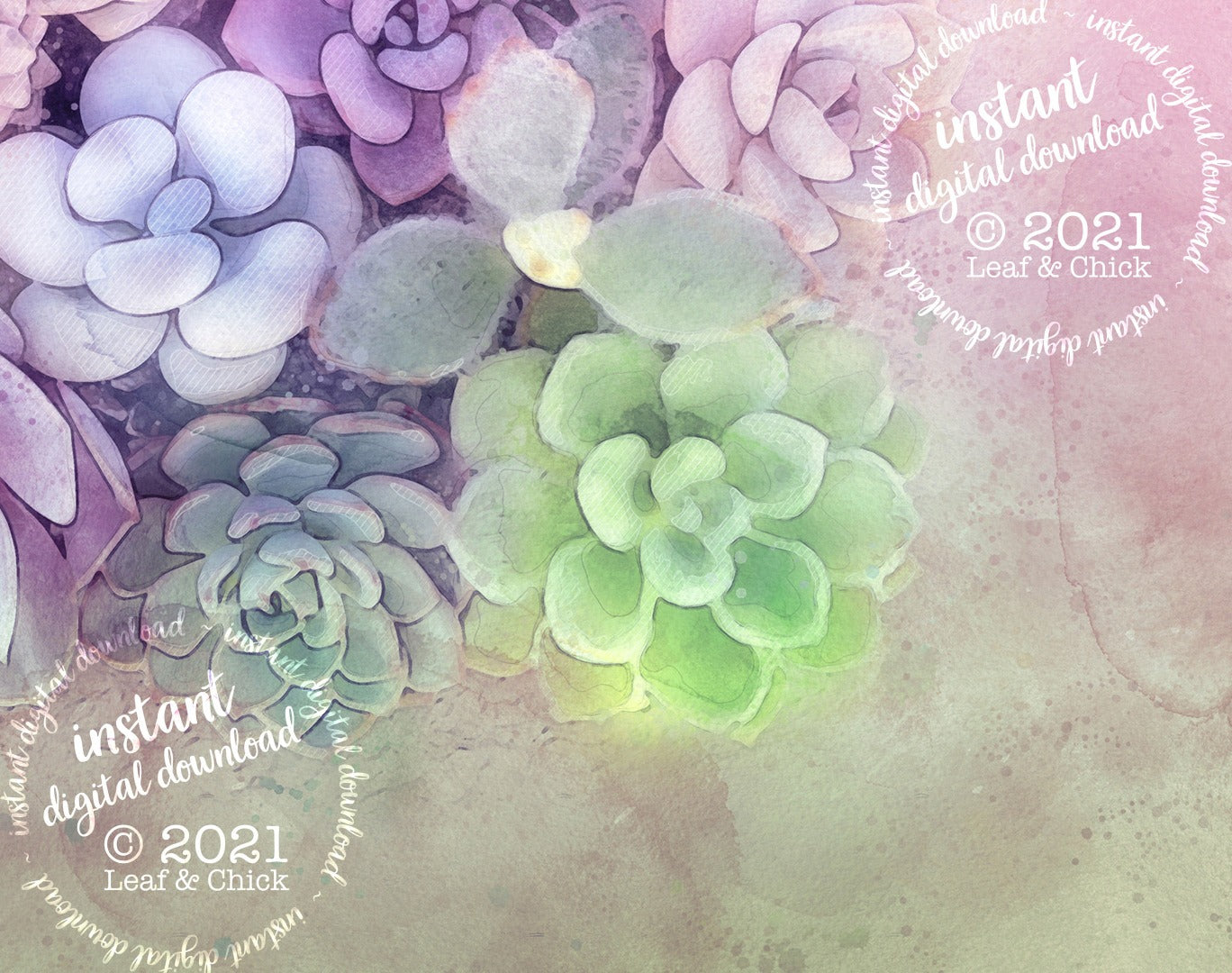 close up of dreamy watercolour succulent art