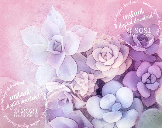 close up of watercolour succulent art