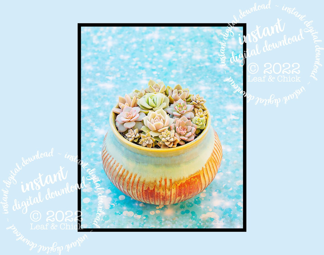 a sugar bowl bursting with pretty succulents