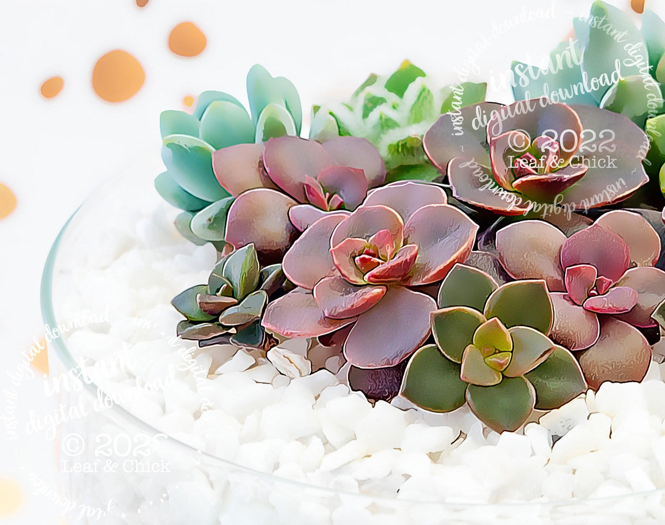 zoom in of painted style succulent art