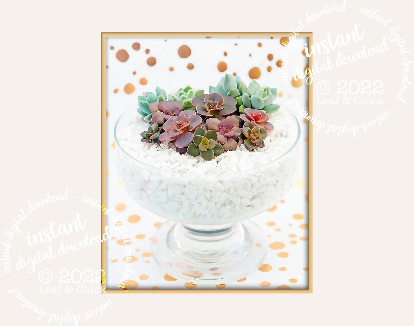 mock up of succulent art with a polka dot background