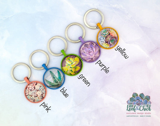 a labelled chart to help easily select your succulent keychain