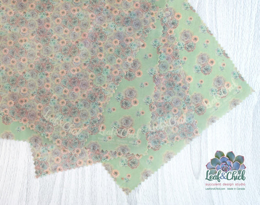 pretty succulent designs exclusive to Leaf & Chick