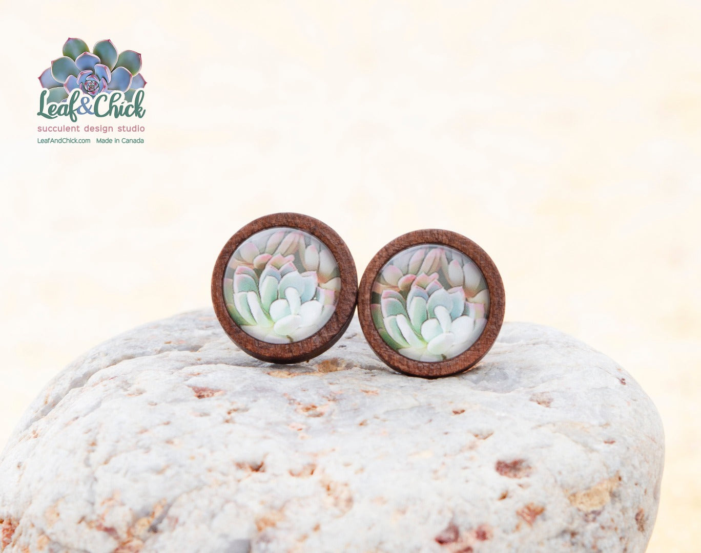 dark wood succulent studs