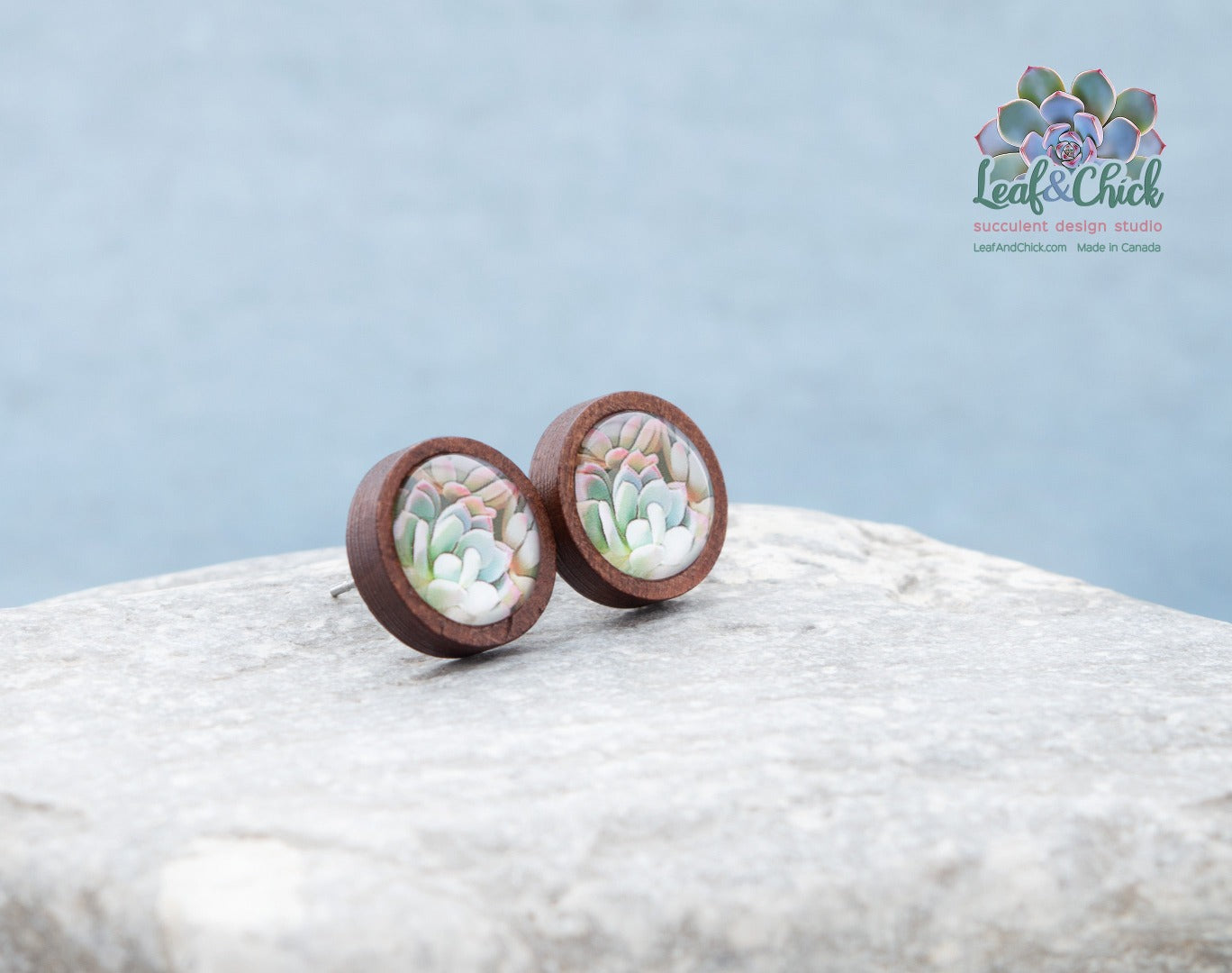 succulent stud earrings