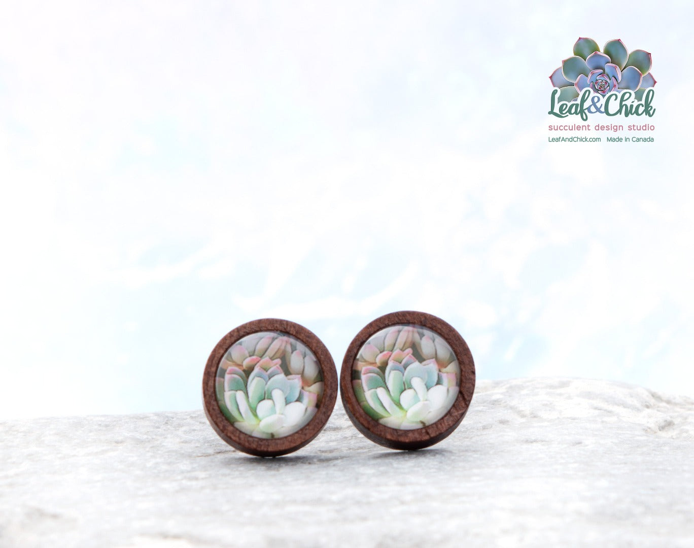 dark wood succulent studs