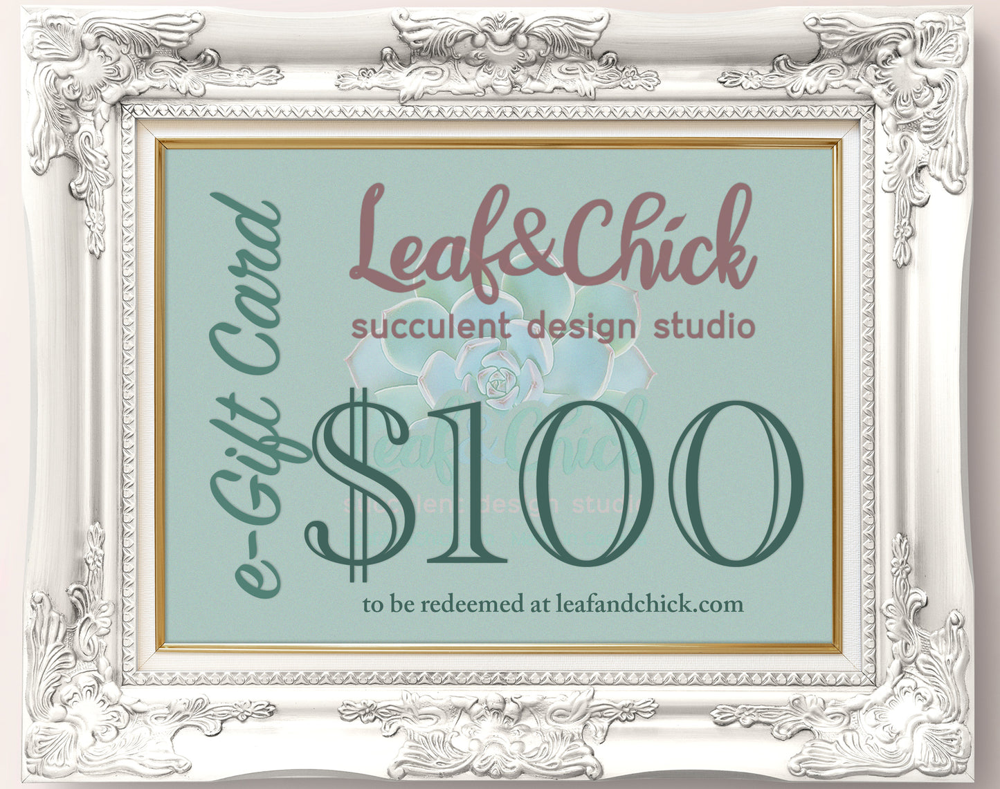 $100 (one hundred dollars) e-gift cart denomination