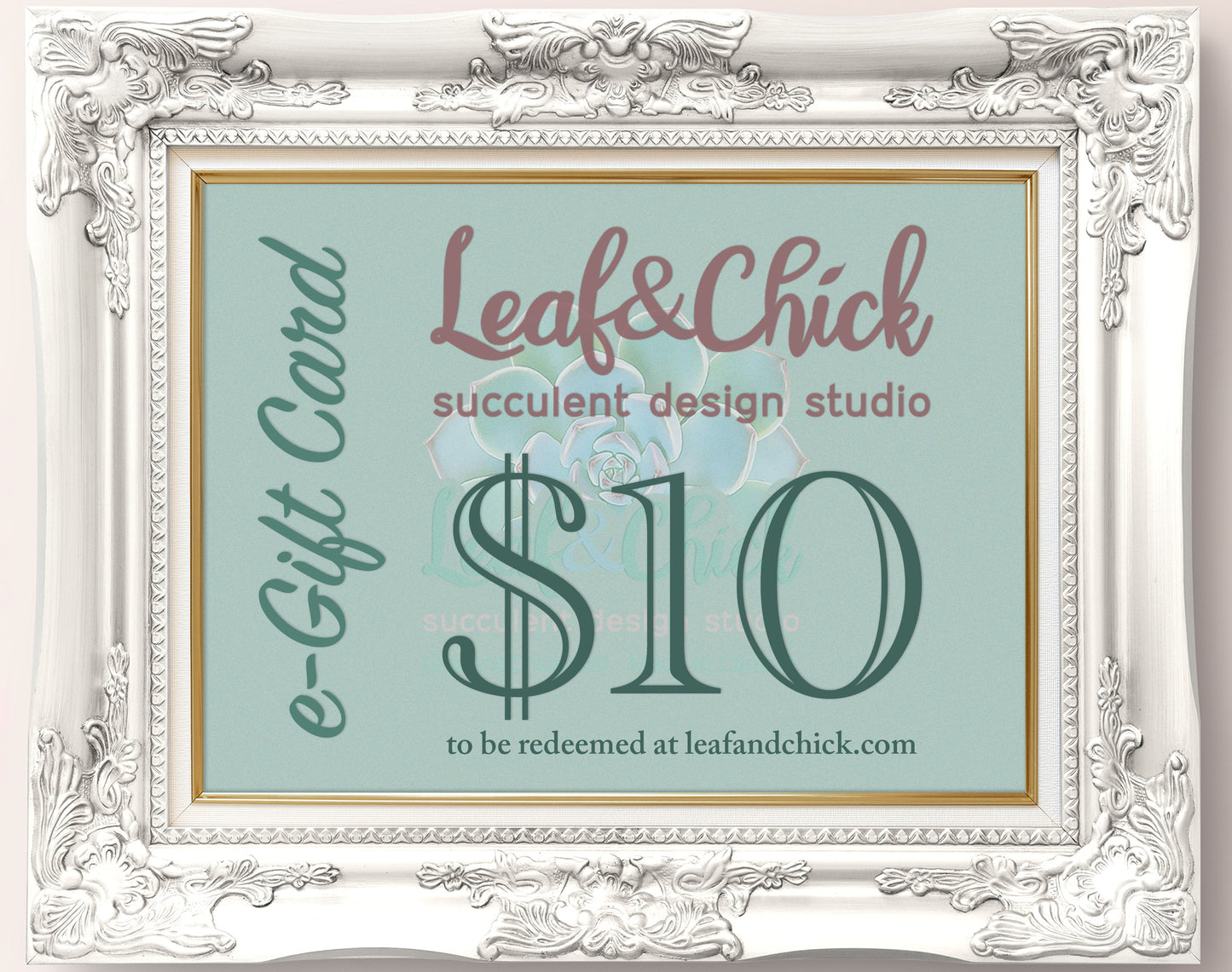 $10 (ten dollar) e-gift card denomination