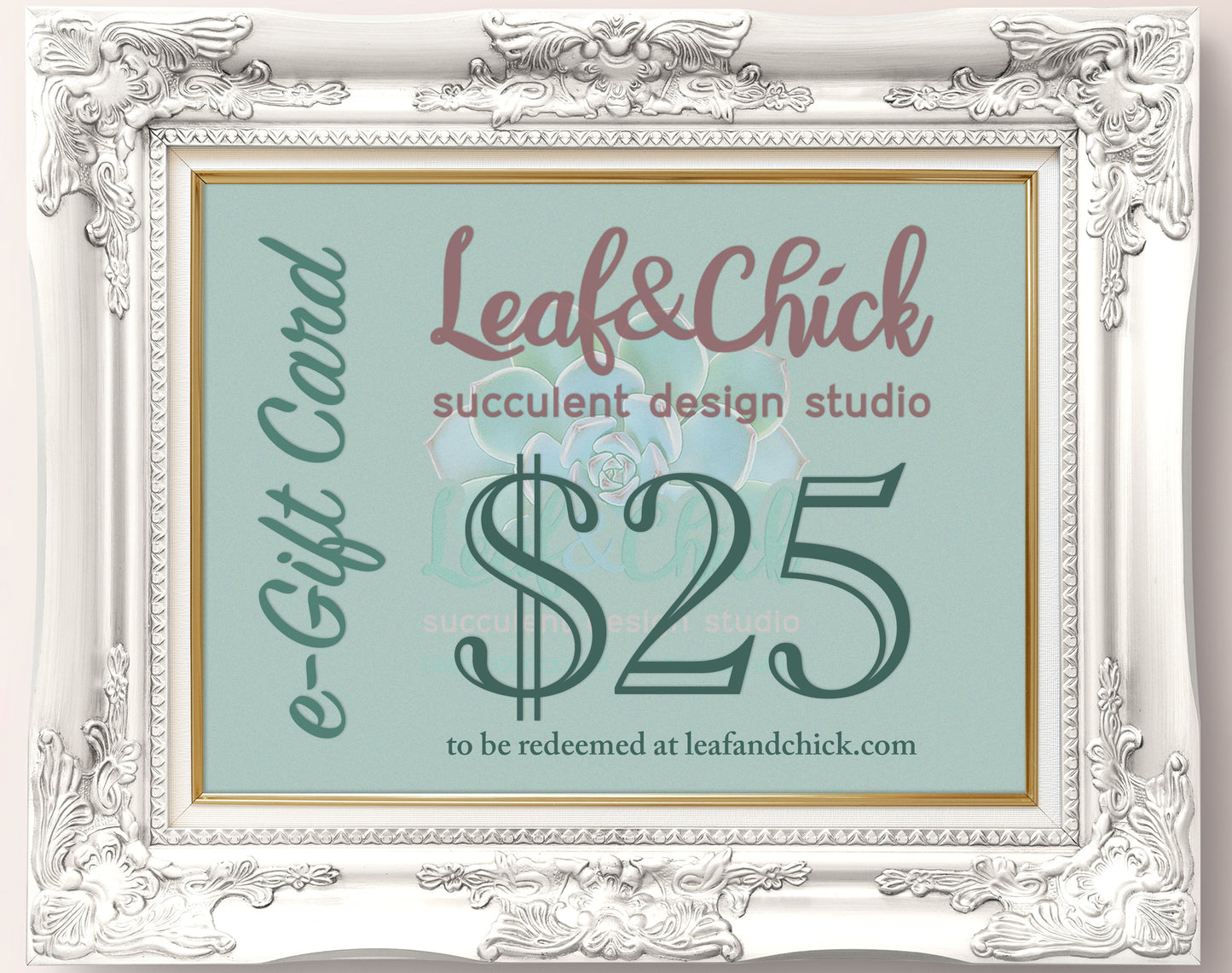 $25 (twenty five dollar) e-gift card denomination