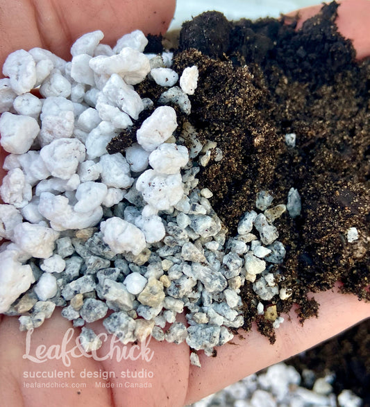 Leaf & Chick succulent soil mix for indoor potting