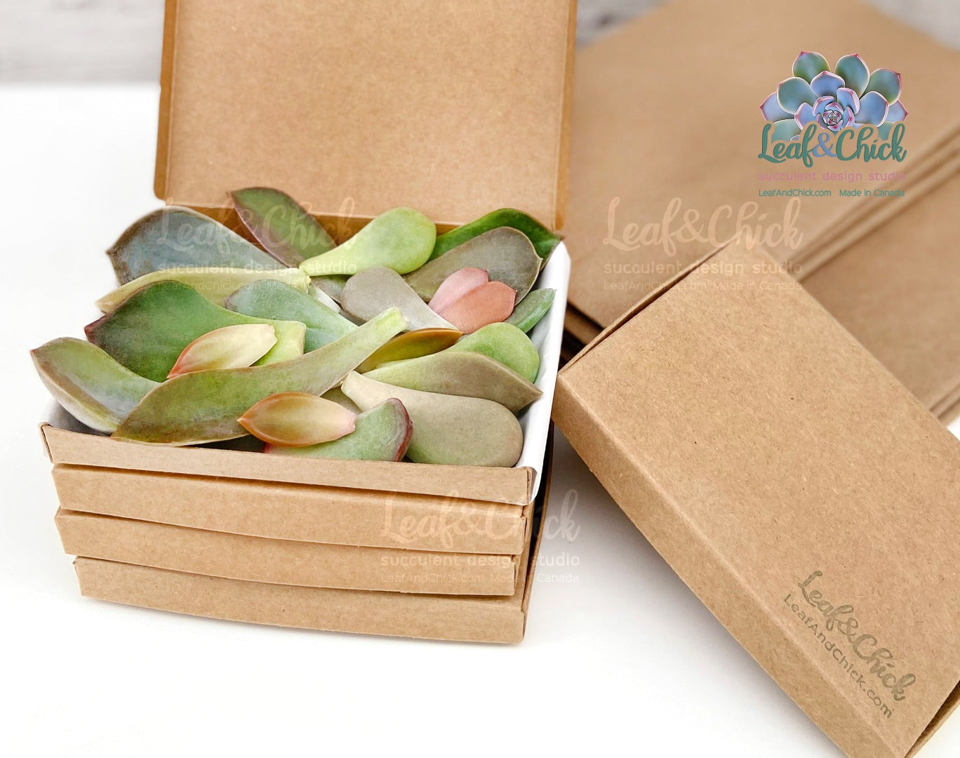 Leaf & Chick uses eco friendly, recyclable packaging