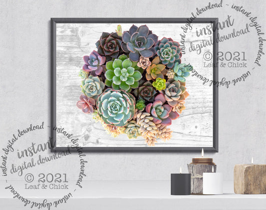 decorate your office with instant digital art