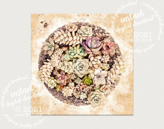 Vintage Style Succulents | INSTANT DOWNLOAD | 1002