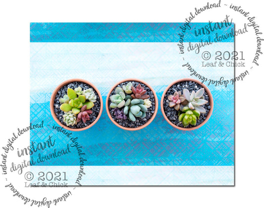 Blue Succulent Trio | INSTANT DOWNLOAD | 1006