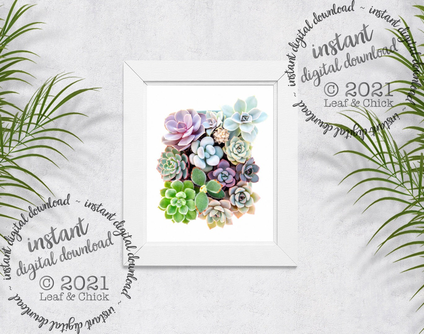 colourful succulent art made from original photography