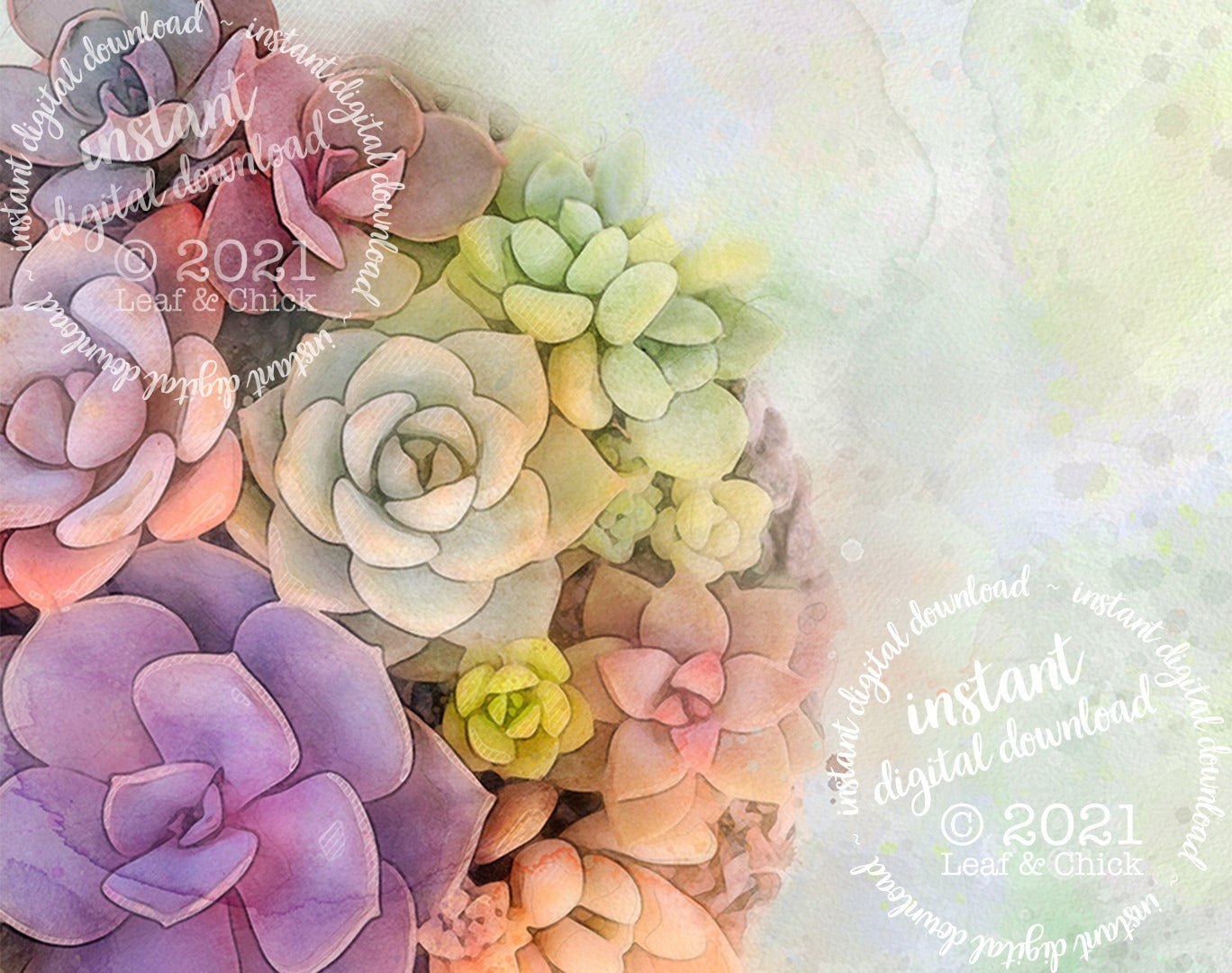 close up of bright and dreamy succulent art