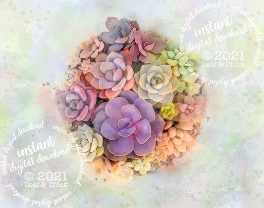 watercolour succulent art for instant download
