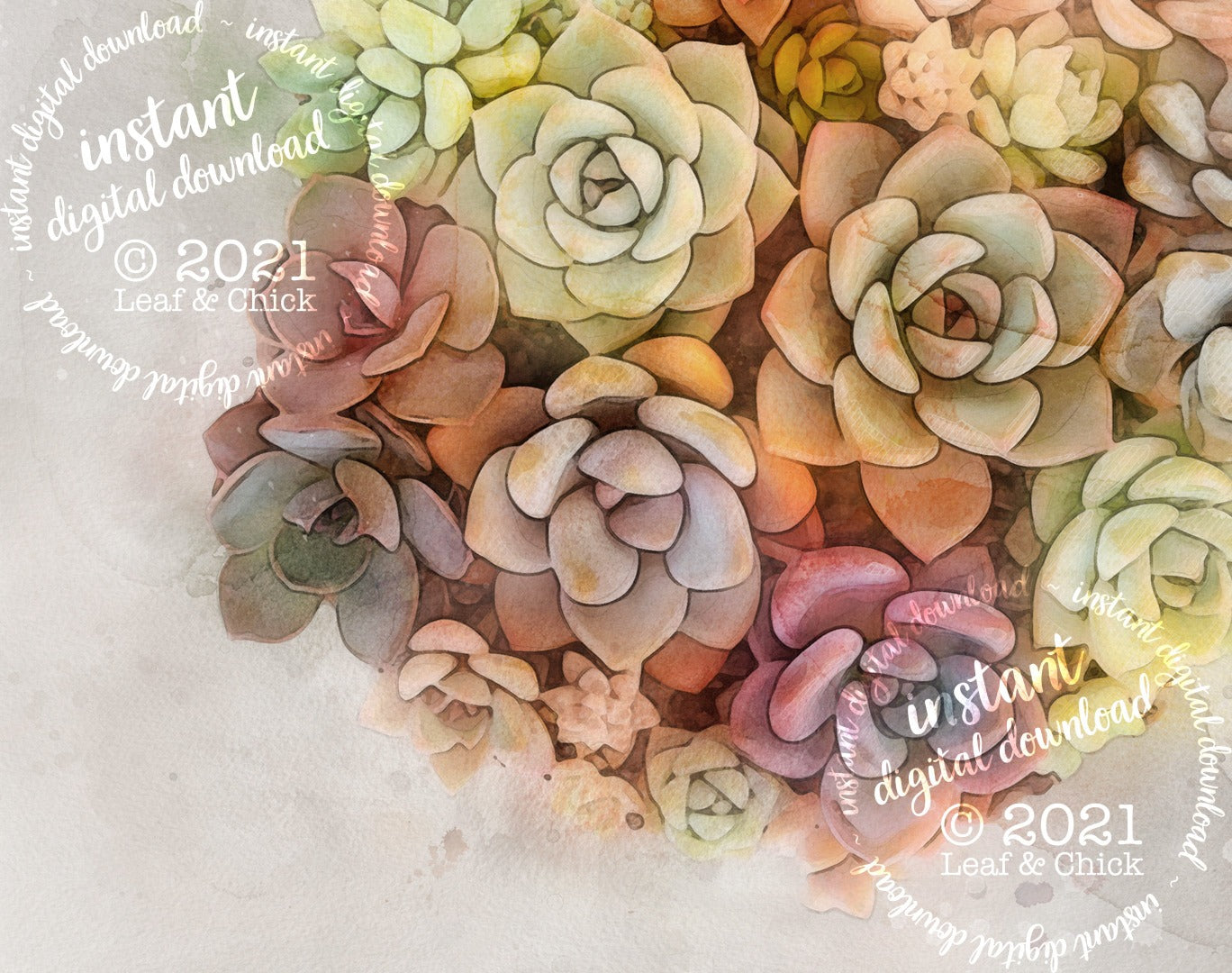 Watercolour Succulent Bouquet | INSTANT DOWNLOAD | 1009