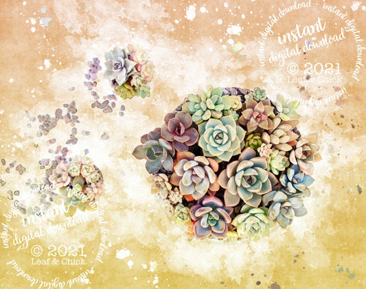 Vintage Style Succulents | INSTANT DOWNLOAD | 1012