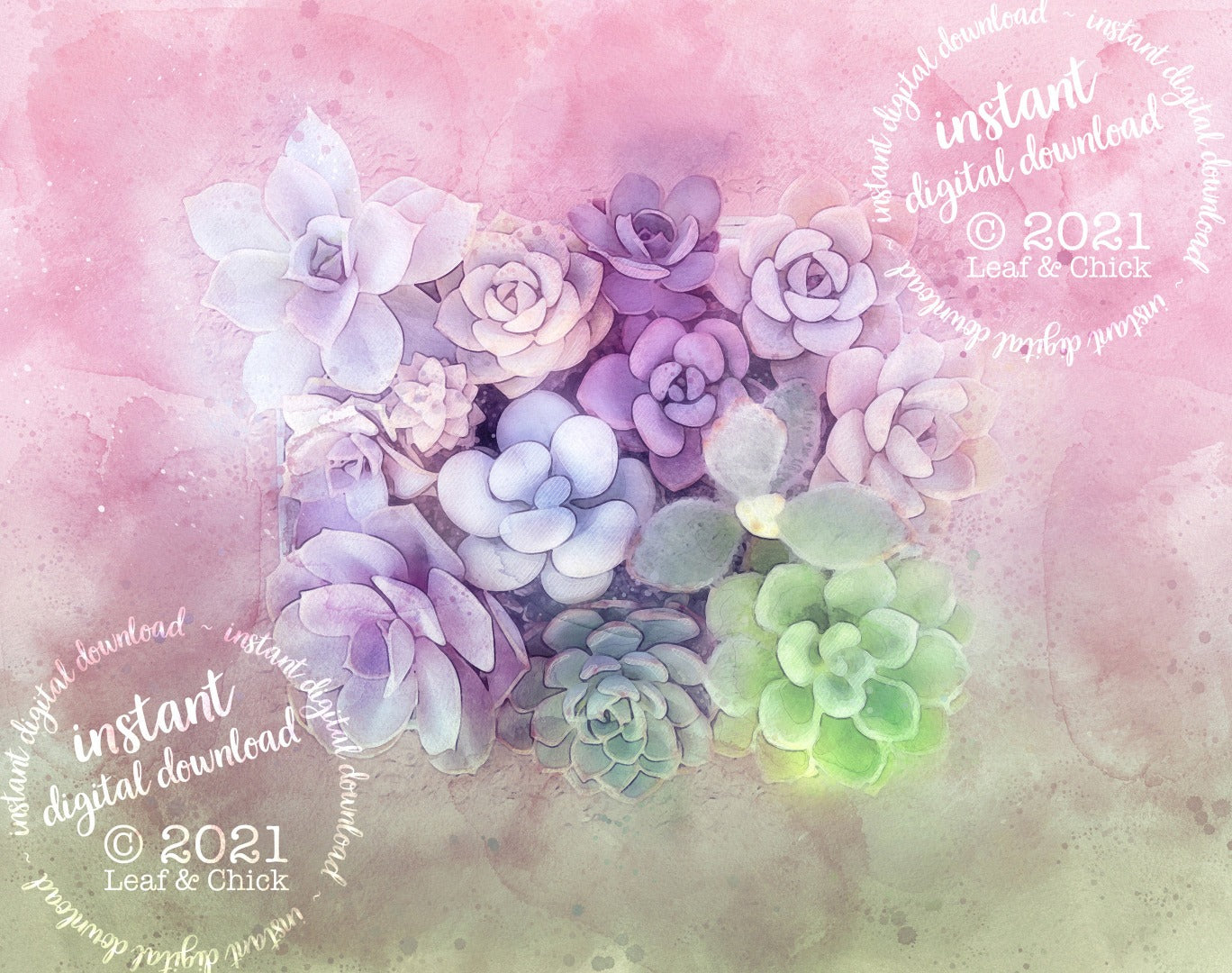 beautiful succulent art in shades of pinks, purples and greens