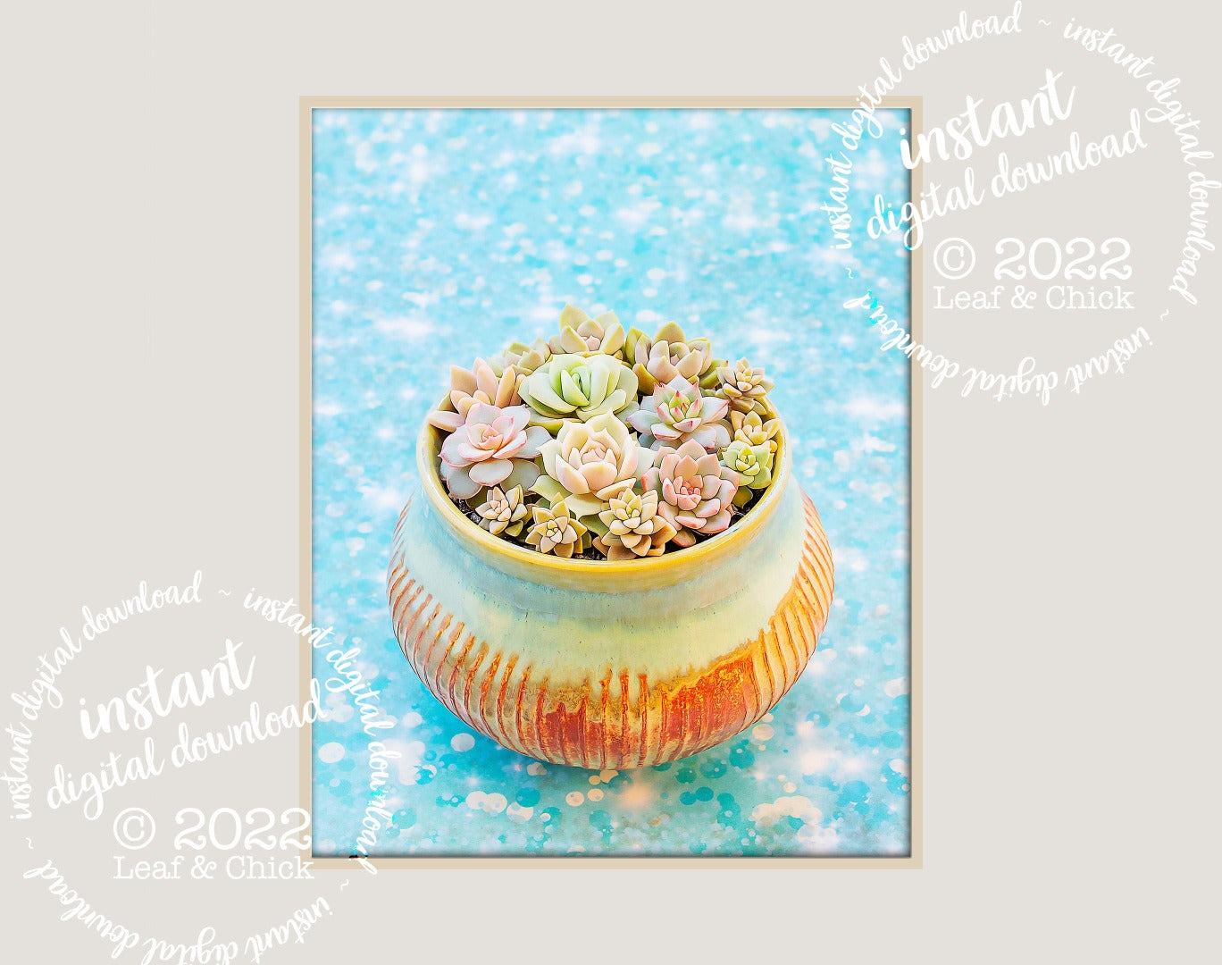 add a pop of colour with this instant succulent download