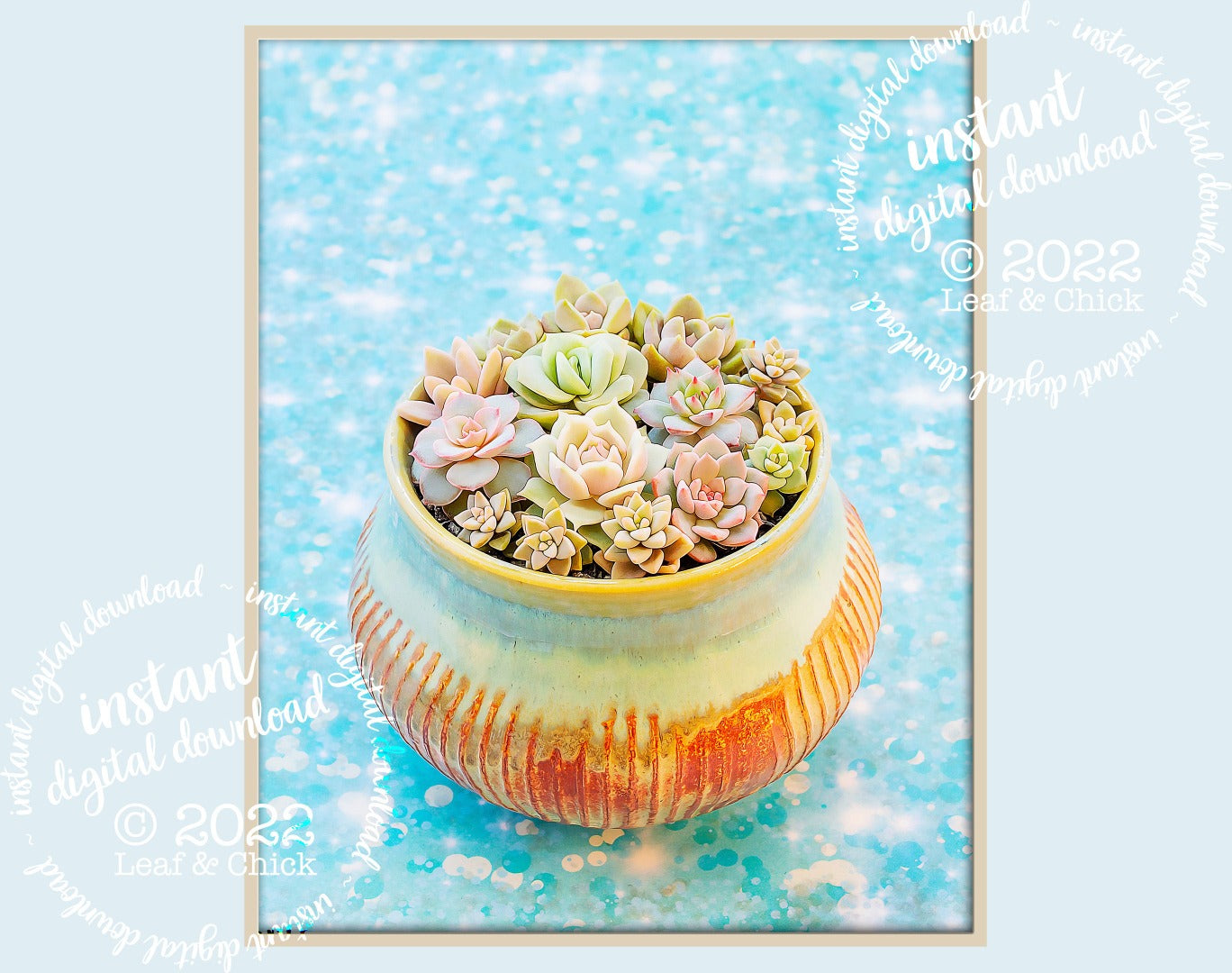 bright blue background with a succulent sugar bowl full of pretty succulents