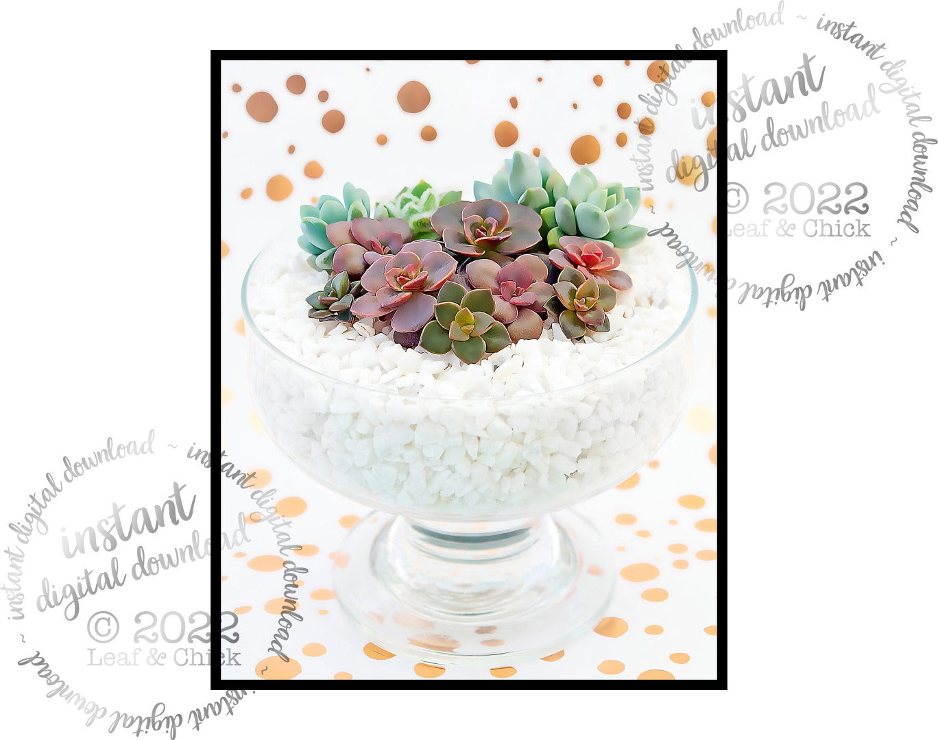 bowl of white pebbles with succulent art